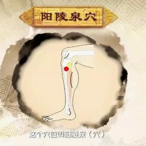 健康之路20180320李志刚《春天需要壮壮胆》（下）
