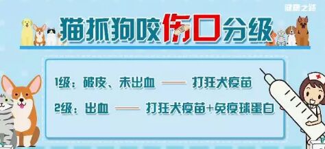 20181209健康之路:儿童急救,狂犬病知识,儿童溺水急救