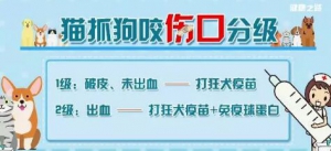 20181209健康之路:姚红新,刘斯,儿童急救,狂犬病知识,儿童溺水急救