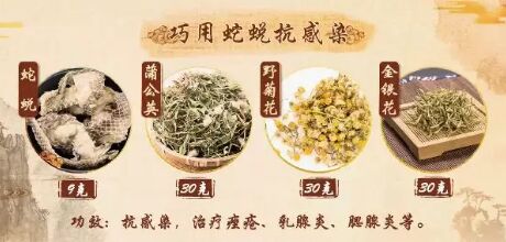 20181223健康之路:傅延龄《变皮为宝》（下）猪皮,蛇蜕