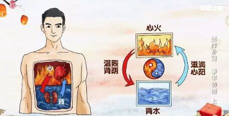 20190202健康之路：李鲲《这样补肾 事半功倍》（上）