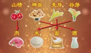 20190223养生堂视频和笔记:汪红兵,腹胀,消化不良,山楂,腹泻,便秘