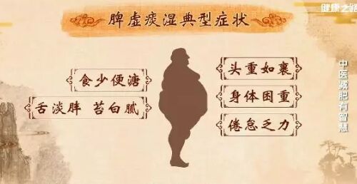20190301健康之路视频笔记:王少军《中医减肥有智慧》
