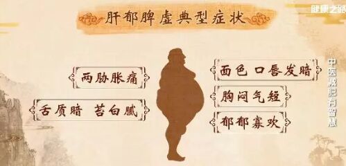 20190301健康之路视频笔记:王少军《中医减肥有智慧》