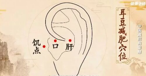 20190301健康之路视频笔记:王少军《中医减肥有智慧》