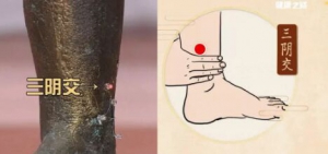 20190304健康之路视频笔记:《天生一对来补肾》