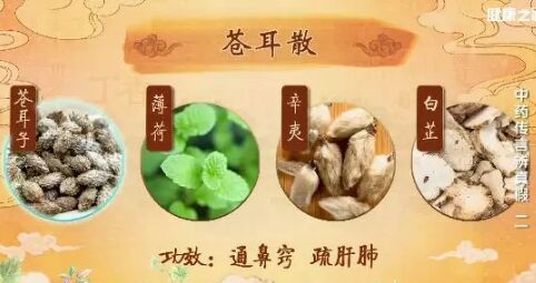 20190315健康之路视频笔记《中药传言辨真假》（二）