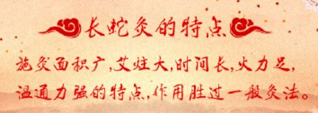 20190516养生堂视频和笔记:脑梗死,长蛇灸,醋调贴敷法