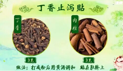 20190607健康之路视频和笔记:杨志敏,蔻仁健胃茶,丁香止泻贴