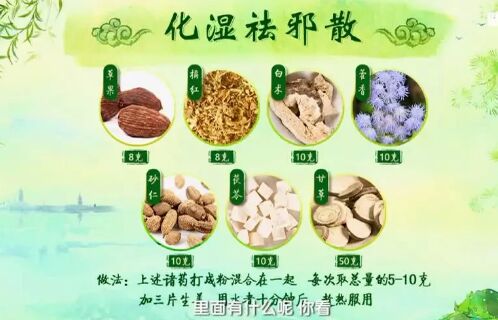 20190607健康之路视频和笔记:杨志敏,蔻仁健胃茶,丁香止泻贴