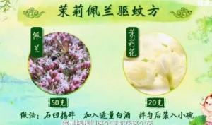 20190608健康之路视频和笔记:黄彬,茉莉佩兰驱蚊方,艾叶驱蚊香