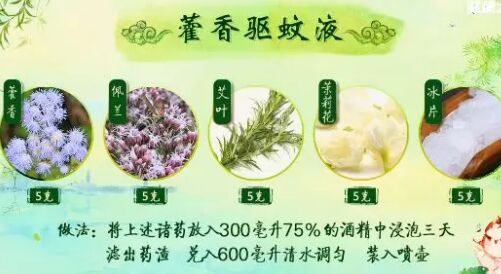 20190608健康之路视频和笔记:黄彬,茉莉佩兰驱蚊方,艾叶驱蚊香