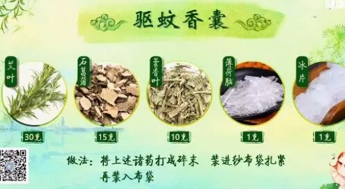 20190608健康之路视频和笔记:黄彬,茉莉佩兰驱蚊方,艾叶驱蚊香
