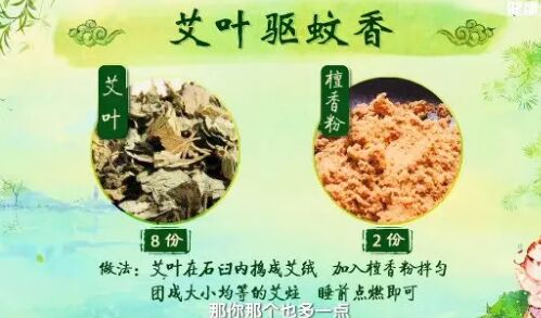 20190608健康之路视频和笔记:黄彬,茉莉佩兰驱蚊方,艾叶驱蚊香