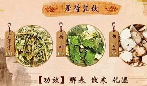 20190617健康之路视频和笔记:张忠德,藿香,藿荷芷饮,藿香饮漱方