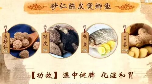 20190618健康之路视频和笔记:张忠德,砂仁,砂仁陈皮饮,咽喉炎