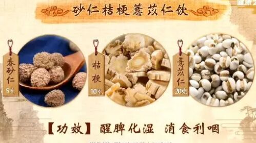 20190618健康之路视频和笔记:张忠德,砂仁,砂仁陈皮饮,咽喉炎