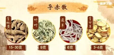 20190622健康之路视频和笔记:陈明,地黄,凉血止血,导赤散,肾阴虚