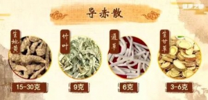 20190622健康之路视频和笔记:陈明,地黄,凉血止血,导赤散,肾阴虚