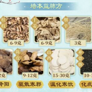 20250109健康之路,张景明,冬季咳嗽,温补肾阳,艾灸,止咳药