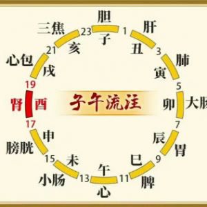 20260613健康之路,揭秘人体自带的“人参鹿茸”